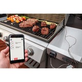 Weber iGrill 3 thermometer 