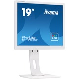 iiyama Prolite B1980D-W1 19" Monitor Wit, VGA, DVI