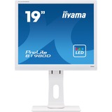 iiyama Prolite B1980D-W1 19" Monitor Wit, VGA, DVI