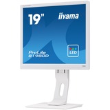 iiyama Prolite B1980D-W1 19" Monitor Wit, VGA, DVI