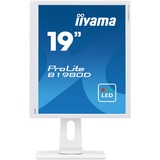 iiyama Prolite B1980D-W1 19" Monitor Wit, VGA, DVI