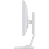 iiyama Prolite B1980D-W1 19" Monitor Wit, VGA, DVI