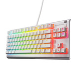 SteelSeries Apex 3 TKL RGB gaming toetsenbord Wit, US lay-out (QWERTY), SteelSeries Whisper-Quiet, 80% (TKL)	