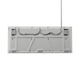 SteelSeries Apex 3 TKL, gaming toetsenbord Wit, US lay-out, SteelSeries Whisper-Quiet, RGB leds, TKL