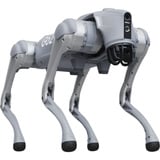 Unitree  robot Grijs
