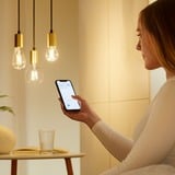 WiZ Filament doorzichtig ST64 E27 led-lamp Wifi + Bluetooth protocol