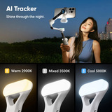 Insta360 Flow 2 Pro AI Tracker bundel gimbal Grijs