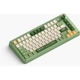 Iqunix ZX75 Camping Wireless Mechanical Keyboard Groen, US lay-out (QWERTY), Cherry MX Blue, 75%, RGB leds, Hot-swappable, Double-shot PBT, 2.4GHz | Bluetooth 5.1 | USB-C