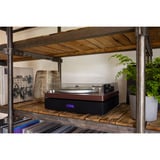 AULO Platenspeler Houtkleur, 33 / 45 rpm, Bluetooth 5.4, USB