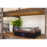 AULO Platenspeler Houtkleur, 33 / 45 rpm, Bluetooth 5.4, USB