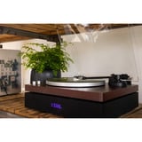 AULO Platenspeler Houtkleur, 33 / 45 rpm, Bluetooth 5.4, USB