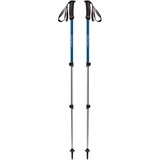 Black Diamond Trail Explorer 3 Trekking Poles Sport en spel 90 - 130 cm