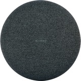 Google Nest Mini luidspreker Carbon, Wifi, Bluetooth