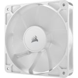 Corsair RS120 PWM case fans Wit, 3 stuks, 120 x 120 x 25 mm