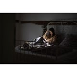 Ledlenser Headlight H5R Core ledverlichting Zwart