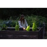 Ledlenser Headlight H5R Core ledverlichting Zwart