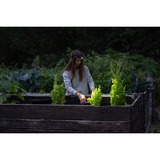 Ledlenser Hoofdlamp H5R Core ledverlichting Zwart, 500 lm, 6000 - 7500K