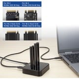 ACT Connectivity M.2 NVMe/PCIe dual SSD docking clone station, USB-C 3.2 Gen2 dockingstation Zwart