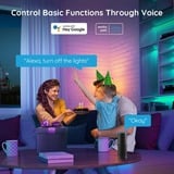 Govee H6110 RGB led strip 2x 5 meter, Wifi, Bluetooth