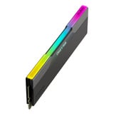 KLEVV CRAS V RGB 32 GB DDR5-6000 (2x 16 GB) werkgeheugen Zwart, KD5AGU880-60A300G, XMP, EXPO