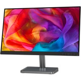Lenovo L24i-30 (66BDKAC2EU) 23.8" Monitor Zwart, HDMI, VGA, AMD FreeSync 2