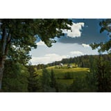White Goblin Games Black Forest Bordspel Nederlands, 1 - 4 spelers, 120 minuten, Vanaf 14 jaar