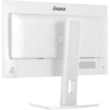 iiyama ProLite XB2497HSU-W1 23.8" monitor Wit (mat), 120 Hz, HDMI, DisplayPort, USB, Audio