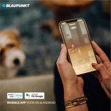 Blaupunkt Bluebot XVAC Robotic robotstofzuiger Wit