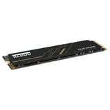 KLEVV CRAS C925G 500 GB SSD Zwart, K500GM2SP0-25G, PCIe Gen 4.0 x4, NVMe 2.0