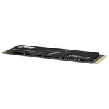 KLEVV CRAS C925G 500 GB SSD Zwart, K500GM2SP0-25G, PCIe Gen 4.0 x4, NVMe 2.0