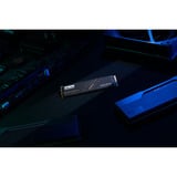 KLEVV CRAS C925G 500 GB SSD Zwart, K500GM2SP0-25G, PCIe Gen 4.0 x4, NVMe 2.0