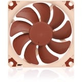 Noctua NF-A9x14 case fan Bruin/wit, PWM-aansluiting, Low Profile Design