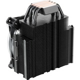 RAIJINTEK LETO RGB cpu-koeler Zwart, 4-pins PMW fan-connector