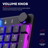 Trust GXT 866 Torix Hoogwaardig mechanisch gaming-toetsenbord, gaming toetsenbord Zwart, US lay-out, Huano Red, RGB