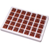 Keychron Gateron Phantom Switch set - Brown, 35 Switches keyboard switches bruin