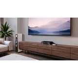 eve Play netwerkspeler Zilver/zwart, AirPlay, LAN, 2.4/5 GHz Wi-Fi