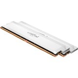 32 GB DDR5-6000 (2x 16 GB) Dual-Kit werkgeheugen