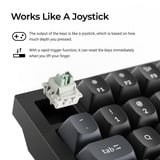 Keychron Q6 HE 8K Magnetic Switch Keyboard Zwart, US lay-out (QWERTY), Keychron Ultra-Fast Lime, 100%, RGB, Hot swap, 8K