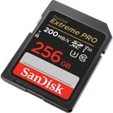 SanDisk Extreme PRO SDXC 256 GB geheugenkaart Zwart, UHS-I, Class 10, U3, V30