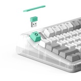 Iqunix OG80 Wormhole Wireless Mechanical Keyboard Grijs, US lay-out (QWERTY), IQUNIX Moonstone, 80% (TKL)	, RGB leds, Hot-swappable, PBT, 2.4GHz | Bluetooth 5.1 | USB-C
