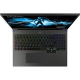 Medion Erazer Major X10 MD62501 (30034642) 16" gaming laptop Zwart |  i7-12700H | Arc 730M | 16 GB | 1 TB SSD
