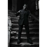 Neca Universal Monsters: Ultimate Black and White Frankenstein's Monster 7 inch Action Figure speelfiguur 