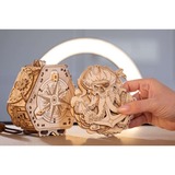 Escape Welt Blackbeard's Compass Puzzel 4 spelers, 60-90 minuten, Vanaf 14 jaar