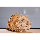 Escape Welt Blackbeard's Compass Puzzel 4 spelers, 60-90 minuten, Vanaf 14 jaar