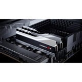 G.Skill 32 GB DDR5-6400 Kit werkgeheugen Zilver, F5-6400J3239G16GX2-TZ5S, Trident Z5, XMP