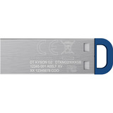 Kingston DataTraveler Kyson USB Flash Drive 256 GB usb-stick Zilver/blauw, USB-A 3.2 (5 Gbit/s)
