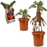 Noble Collection Harry Potter: Electronic Plush Mandrake Pluchenspeelgoed 