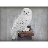 Noble Collection Harry Potter: Magical Creatures - Hedwig decoratie Nr. 1
