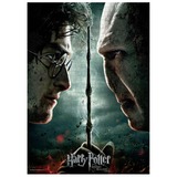 SD Toys Harry Potter: Harry vs Voldemort Puzzle Puzzel 1000 stukjes