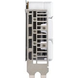 ASUS GeForce RTX 5060 DUAL OC WHITE 8GB grafische kaart Wit, DLSS 4, 3x DisplayPort, 1x HDMI 2.1
